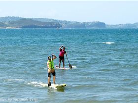 Stand Up Paddle