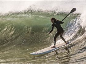 998415 564138353627782 354362460 n