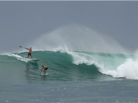 Stand Up Paddle