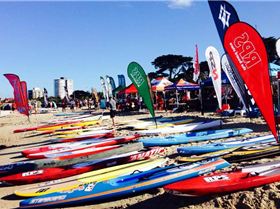 1551708 10152313199099305 254415290 n