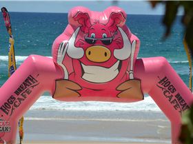 12 Towers Distance race pics