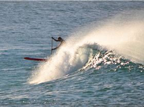 Stand Up Paddle