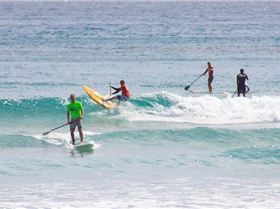 Stand Up Paddle