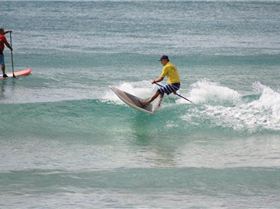 Stand Up Paddle