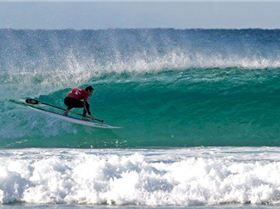 944511 10152813813365447 481434086 n