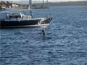 Strahan Harbour Tassi