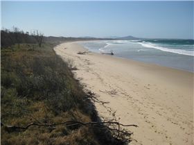 Scotts Head signs 019