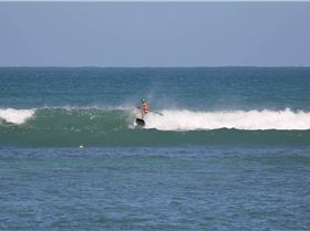 Radical rasta radman   CoopersPale ale please