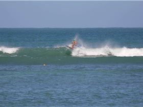 Radical rasta radman   CoopersPale ale please