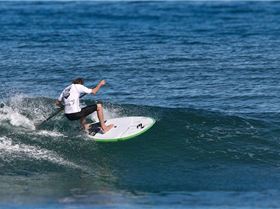 NSW Sup Titles 2014