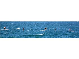 bit of wind cant keep a good sup down