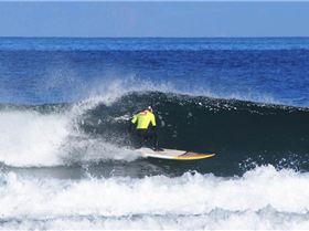 10505521 796881070336592 2495737110434510320 n