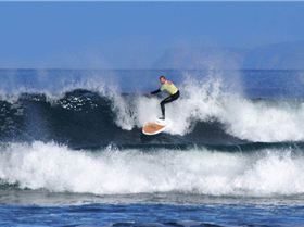 10488228 796880910336608 8802735386817633763 n[1]