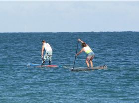 Stand Up Paddle