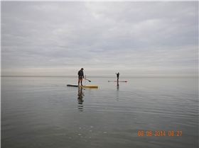Stand Up Paddle