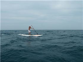 1501162 10152503657843135 323931227 o