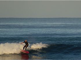 suplishis winter day august 201414