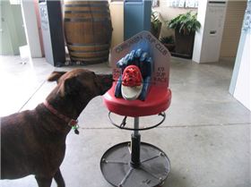 10485920 777145149012782 3729121230021307497 n