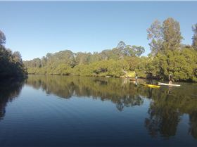 Winter's Morning Paddle