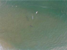 10422154 10152742568011952 3218088795924477697 n