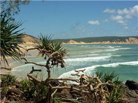 600611 10151505580335011 1572792743 n