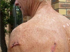 1554564 793759347332141 9080650444203968795 n