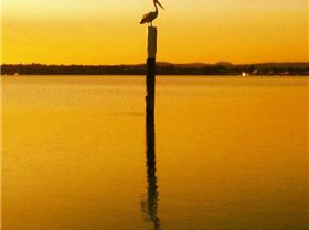 1958463 10152675832098891 8964232300187280186 n