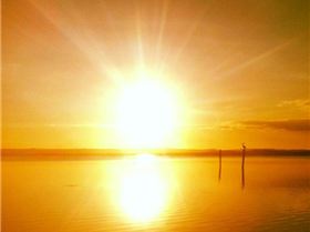 10635791 10152675837193891 3836138057555649643 n