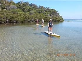 Stand Up Paddle