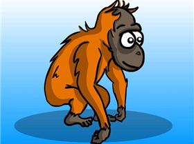 OrangutanLg