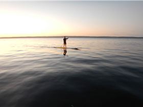 Stand Up Paddle