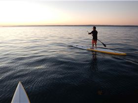 Stand Up Paddle