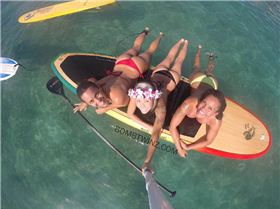 15975032597 8a65f387e0 b