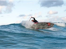 Vex Profusion Pro Model