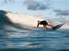 Vex Profusion Pro Model