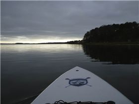 Stand Up Paddle