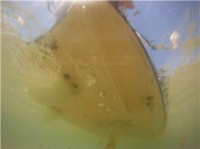 10872857 10205506564285788 5096028158489683076 o