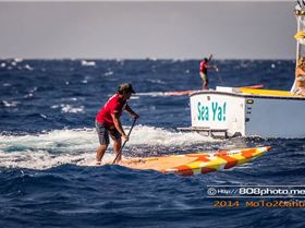 13547 508222929311558 2452686934862504560 n