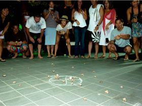 57. Hermit Crab Racing