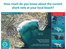 10891455 333089413558473 3825633012541178563 n