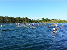 Stand Up Paddle