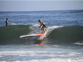 10984793 336505793217532 354761278 n