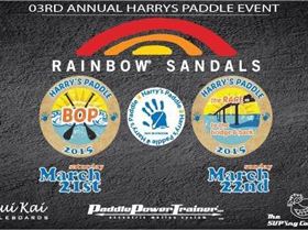 Harrys Paddle 2015