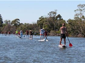 1780964 783958618366841 1558646998505260716 o