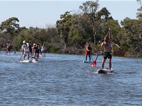 10687875 783958605033509 5798224396675094254 o