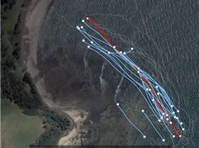 Zappers RipCurl watch