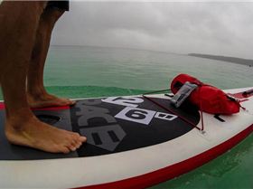 11138566 10153150773426043 3870772747799477061 n