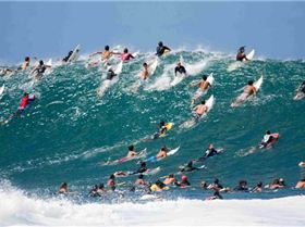 North shore Pipeline surf crowd