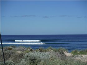 Love it live it SUP it lick it