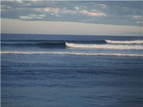 Love it live it SUP it lick it